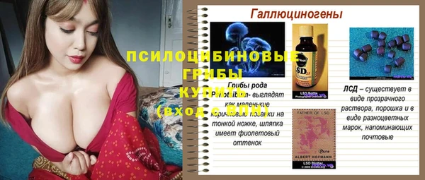 молекула духа Алзамай